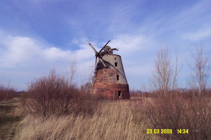 Windmühle Schafstädt Foto Ralf Liebegott